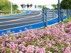 -苏州吴中太湖旅游区