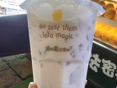 -猫的魔法密林(衣裳街店)