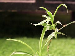 -李氏八大件老菜馆(万宝街店)