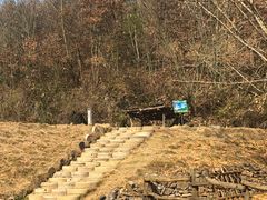 -千年银杏谷文化旅游区