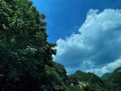 -秦岭风景区