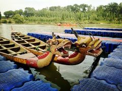 -东方巨龟苑景区