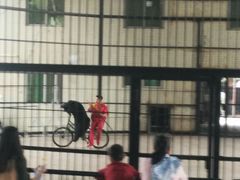 -广东茂名森林公园