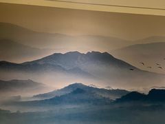 -正清和·推拿养生(黑石礁中心店)