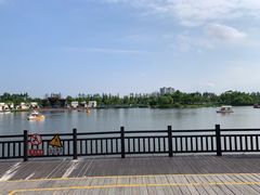 -上海长兴岛郊野公园