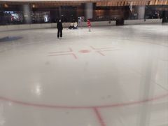 -TheRink大零溜冰场(IFS国金中心店)