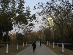 -泰州凤城河风景区-泰山公园