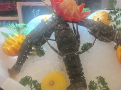 -索菲特酒店 · 云尚天际自助餐厅