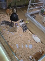 -小象动悟公园(龙湖亦庄天街店)