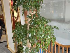 -美味故事特色餐厅(汉阳郭茨口店)