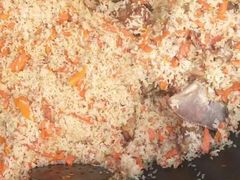 -新疆风味冷水鱼庄(友谊峰路店)