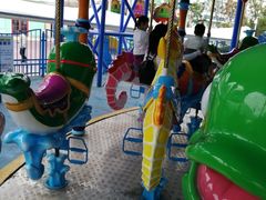 -芜湖新华联大白鲸海洋公园