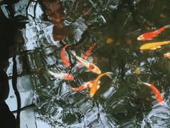 -云溪植物园