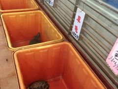 4091-荔城生鲜盛宴(番禺旗舰店)
