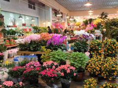 -双季花艺园艺市场(浦东店)