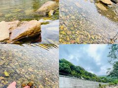 -北仑森林植物园