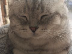 -平行世界·猫咖(首经贸店)
