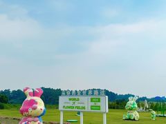 -空港花田景区