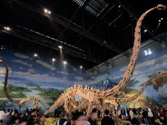 -自贡恐龙博物馆