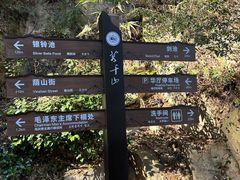 -莫干山风景区