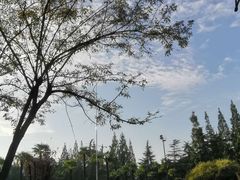 -四川大学(华西校区)