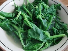 烫豌豆尖儿-玉滋補