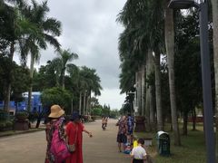 -万绿园