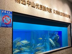 -淘米捞·米汤脆鲩鱼火锅(福田皇岗店)