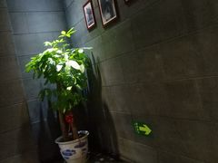 -新兴园饺子馆(北京百子湾店)