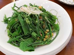 清炒南瓜尖儿-巴依老爷新疆美食(牡丹园店)