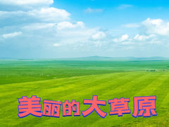 -乌兰布统草原