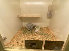 -龙猫仔乐园(惠福东路店)