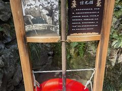 -龙井村