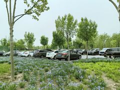 -瀛海足球主题公园