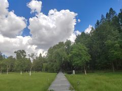 -昆山城市生态森林公园