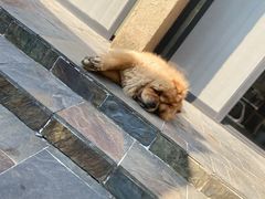 -看见远方·莫干遥远的山民宿