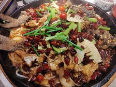 -老板恋上鱼(恒隆广场店)