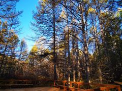 -洮儿河国家湿地公园