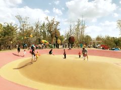 -上海浦江郊野公园·1号停车场