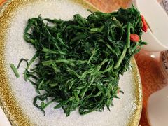 清香枸杞苗-国强手抓(北京西路店)