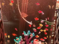 -盤古Spa泰式古法抓龙筋(鲁迅路店)