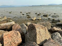 -深圳湾公园(南山区)