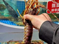 -渔港甄宴·海鲜·地标烟台菜(金沙滩店)