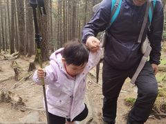 -芦芽山旅游度假区