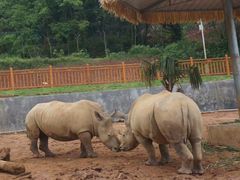 -泉州海丝野生动物世界