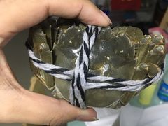 -丫丫蟹庄·苏式园林农家乐·阳澄湖大闸蟹(阳澄湖莲花岛店)