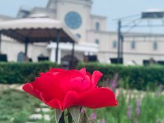 -丹世红酒庄·烧烤·团建·婚礼·水上运动