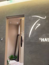 -Halo FLY运动空间