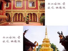 -西双版纳傣族园