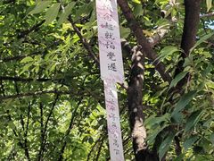 -西安大兴善寺